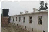 河北廊坊瑞豐保溫雞舍 防火保溫、耐酸堿，打造現(xiàn)代化養(yǎng)殖新標桿